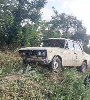 "За кермом був пес": на Дніпропетровщині п'яний водій незвично пояснив ДТП