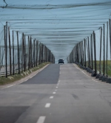 На Дніпропетровщині майже 40 кілометрів доріг накрили антидроновими сітками