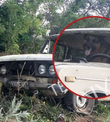 В Кривом Роге Nissan врезался в столб и перевернулся: есть пострадавшие