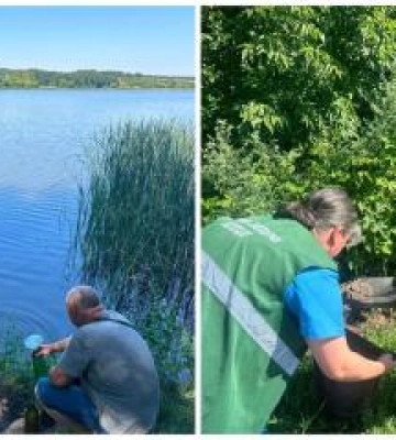 На Полтавщині з'ясовують причини масової загибелі риби у Троянівському водосховищі