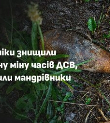 Пішли по ягоди, а знайшли смертельну небезпеку: у Карпатах туристи натрапили на міну
