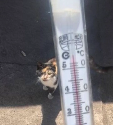 Спека до +50°: як у Дніпрі стаціонує гаряча повітряна маса