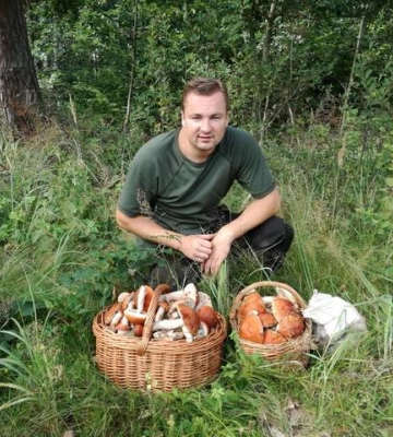 Тест для грибников: какой гриб на фото на самом деле съедобен и вкусен