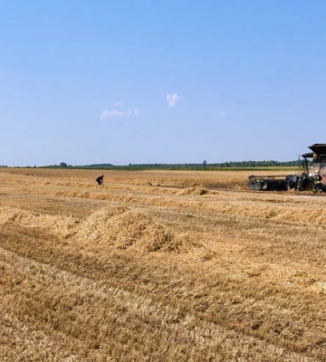 На Волині під час жнив загорівся комбайн