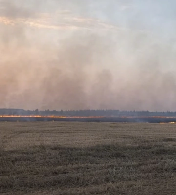 Під час жнив на Рівненщині загорівся комбайн