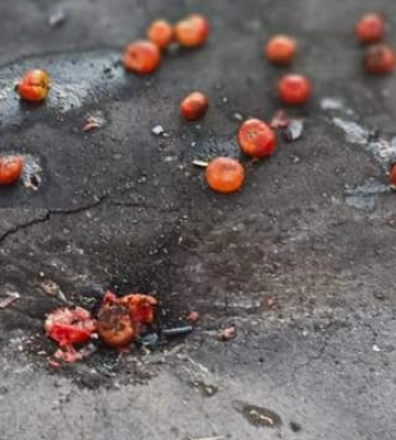 Ворог цинічно вдарив дроном по людях на ринку у Сумській області