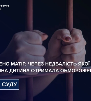 На Житомирщині засуджено матір, через недбалість якої однорічна дитина отримала обмороження