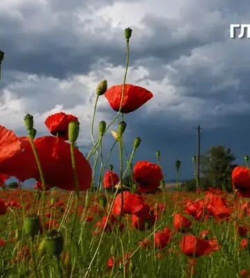 Негода 8 серпня: у яких областях оголошено штормове попередження