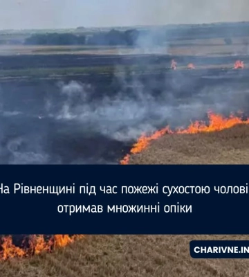 На Рівненщині під час пожежі сухостою чоловік отримав множинні опіки