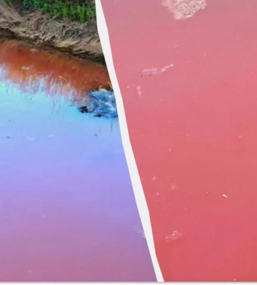 На юге Одесской области водоемы окрасились в красный цвет: что произошло