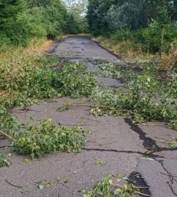 Последствия непогоды на Киевщине: в Кагарлыке повреждены 62 дома, тысячи семей остались без света