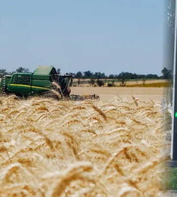 16 тонн зерна за тонну дизеля. Аграрії підійшли до межі