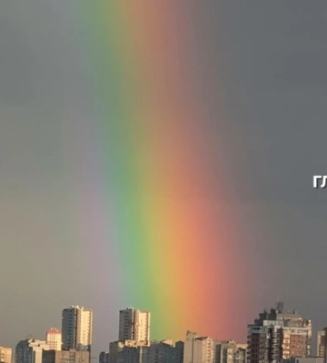 Що після дощу збирають грибники на Волині