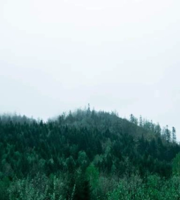 У Карпатах стався землетрус