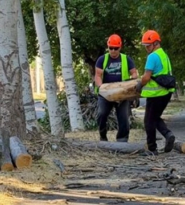 У популярних скверах Миколаєва зноситимуть дерева