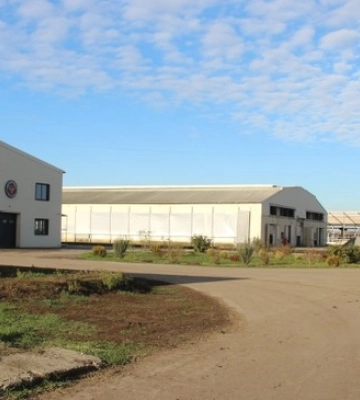 Молочна ферма на Черкащині планує збільшити стадо до 1200 корів