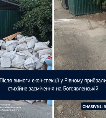 Після вимоги екоінспекції у Рівному прибрали стихійне засмічення на Богоявленській