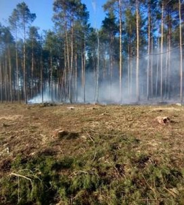 На Полтавщині попереджають про надзвичайний рівень пожежної небезпеки
