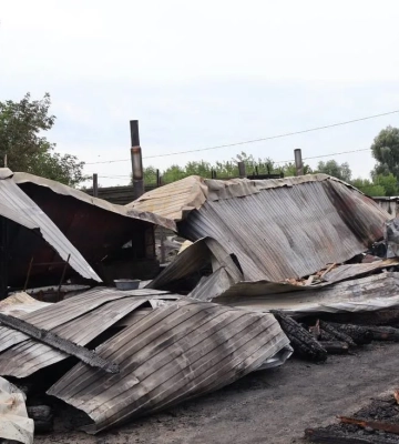 Масштабна пожежа охопила притулок «Сіріус» під Києвом, загинули собаки