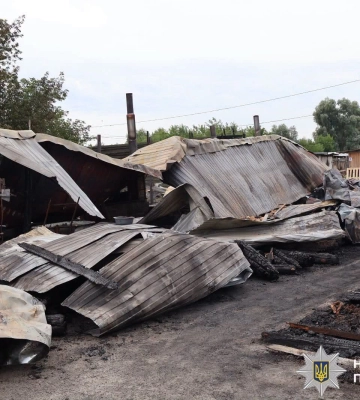 Масштабна пожежа охопила притулок «Сіріус» під Києвом, загинули собаки