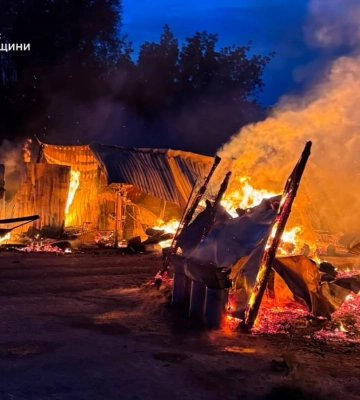В Киевской области произошёл пожар в приюте для животных - есть погибшие животные