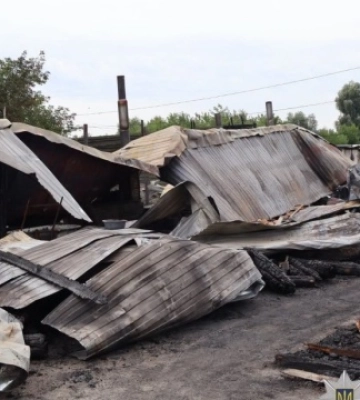 На Київщині горів притулок для тварин