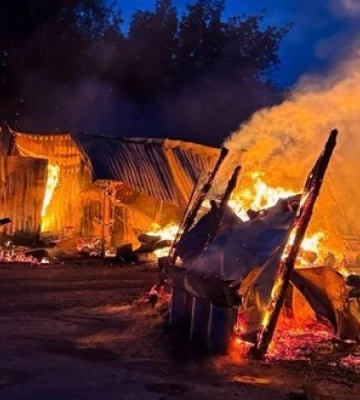 Притулок для тварин горів на Київщині: загинули собаки, знищено частину вольєрів. ФОТОрепортаж