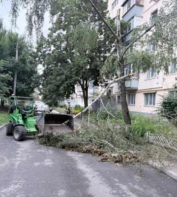 Фото: в Харькове из-за непогоды упало около 20 деревьев