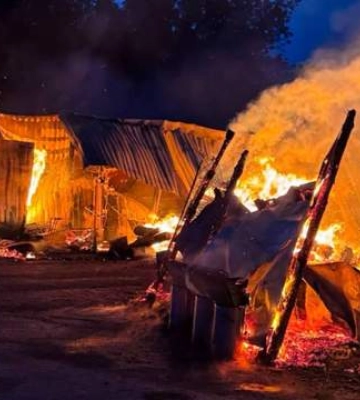 У притулку для тварин під Києвом сталася пожежа: є загиблі собаки