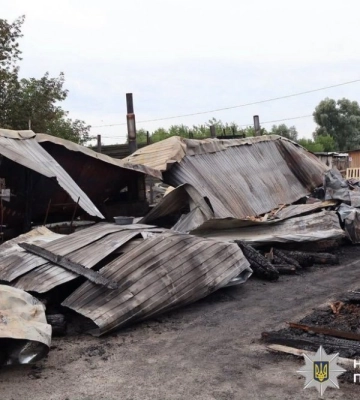 Поліція Київщині розпочала розслідування, щодо пожежі у притулку, в якій загинули тварини