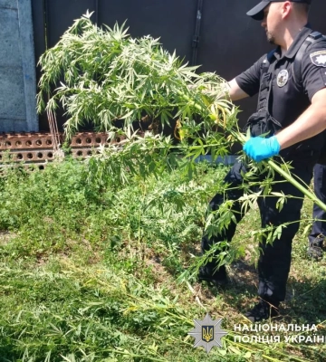 При помощи дрона копы узнали, чем занимается житель Эсхара
