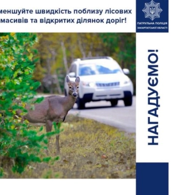 На дорогах Закарпаття зросла небезпека: патрульна поліція звернулася до всіх водіїв із важливим попередженням