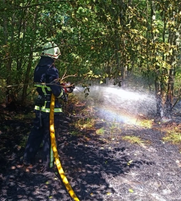 Майже 120 пожеж сталося минулого тижня на Рівненщині