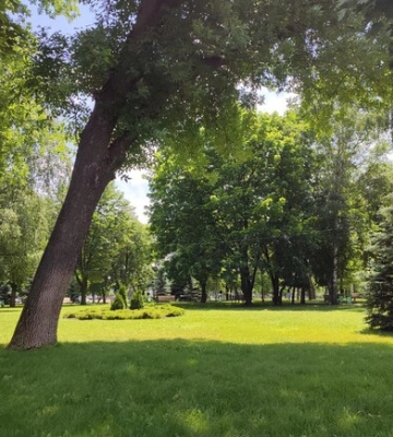 Погода в Харькове на этой неделе: сколько продлится жара