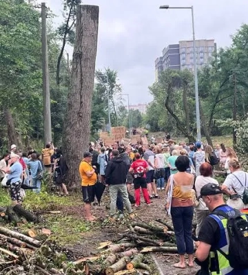 Альтернативи вирубці дерев на Теремках для будівництва тепломережі немає — КМДА
