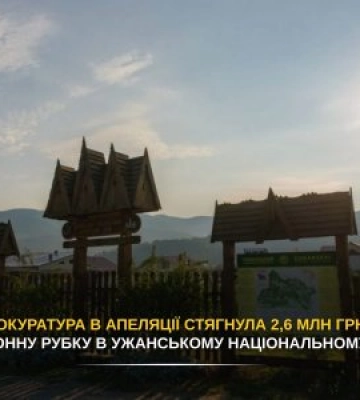 Незаконно зрубали 28 дерев: на Закарпатті через суд стягнуть 2,6 мільйона гривень за шкоду нацпарку