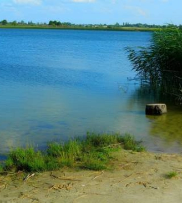 Бірюзово-молочна вода і 9 метрів глибини: де на Волині серед дикої природи є льодовикове озеро
