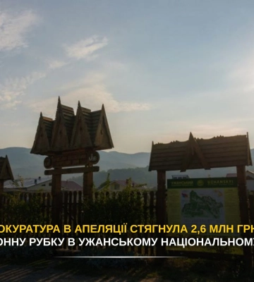 Прокуратура в апеляції стягнула 2,6 млн грн за незаконну рубку в Ужанському національному парку