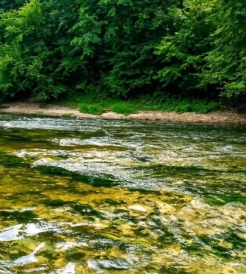 На Рівненщині річки міліють до критичних рівнів через посуху