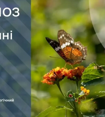 В Україні прогнозують спеку до +33 градусів: якою буде погода у Дніпрі 11 серпня