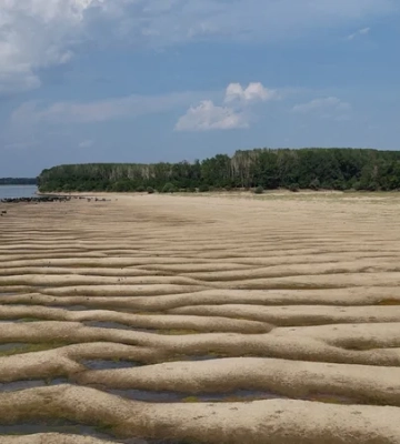 Из-за рекордно низкого уровня воды в Дунае экспорт украинского зерна затруднился — Bloomberg