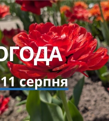 Якою буде погода у Харкові та області 11 серпня