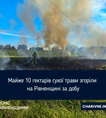 Майже 10 гектарів сухої трави згоріли на Рівненщині за добу