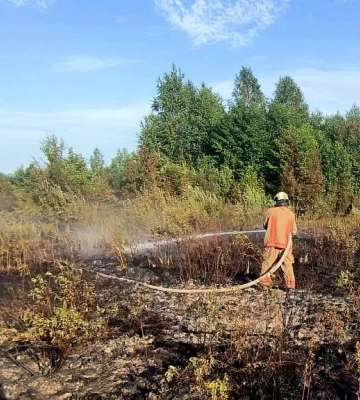 На Волині в кількох громадах горіло майже три гектари сухої трави