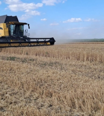 ІМК зібрала пшеницю з урожайністю на 30% вищою за середню по країні