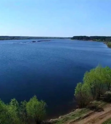 На Київщині зафіксували масовий мор риби