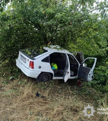 На Житомирщині легковик виїхав у кювет та вперся у дерево: є загибла та поранений