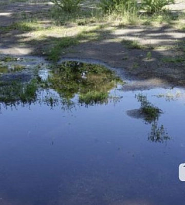 В Кривом Роге зафиксировали еще один порыв водопровода: подтопило земельные участки