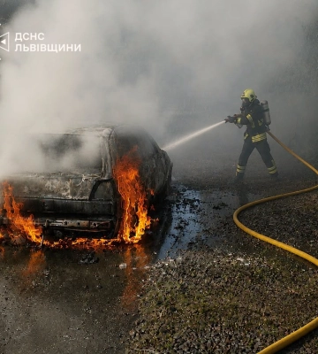 На Львівщині під час руху загорівся Volkswagen Golf: водій встиг вийти з авто, - ФОТО