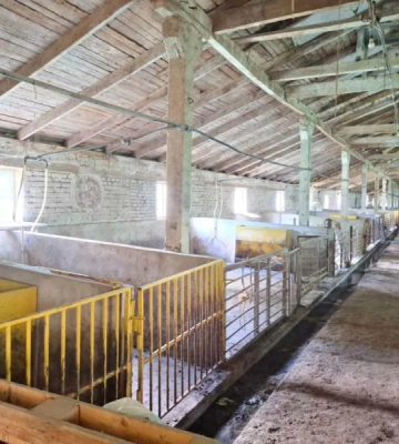 За понад 11 мільйонів на Волині продають готову свиноферму з будинком і залізничною гілкою